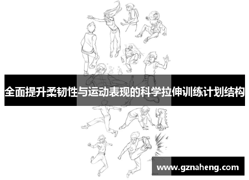 全面提升柔韧性与运动表现的科学拉伸训练计划结构