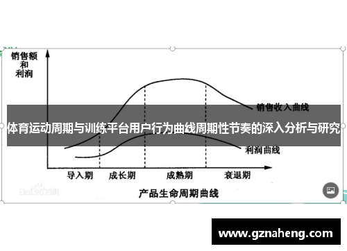 体育运动周期与训练平台用户行为曲线周期性节奏的深入分析与研究