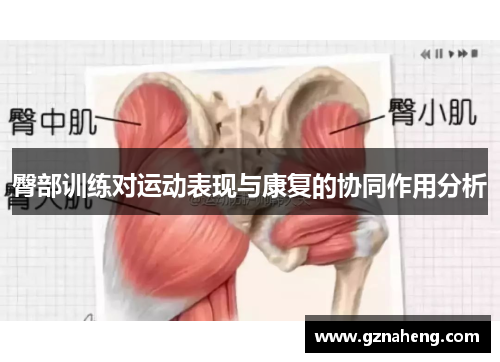 臀部训练对运动表现与康复的协同作用分析