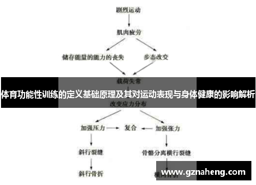 体育功能性训练的定义基础原理及其对运动表现与身体健康的影响解析
