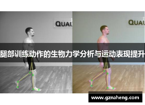 腿部训练动作的生物力学分析与运动表现提升